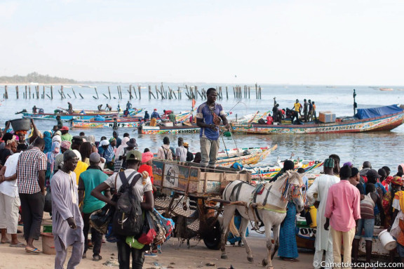 Arrivée des pêcheurs de Mbour